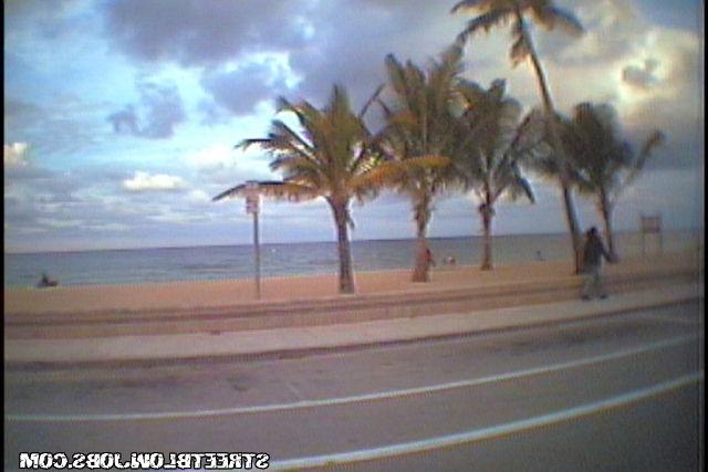 Отсосала приятелю под кустом 1 фотография Отсосала приятелю под кустом 1 фотография