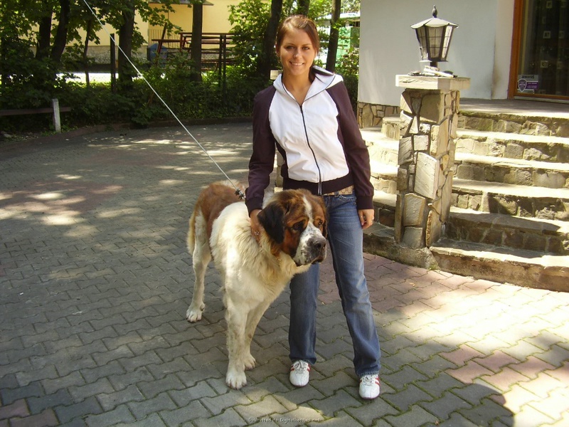 Голая стройняшка делает минет на природе 17 фотография Голая стройняшка делает минет на природе 17 фотография