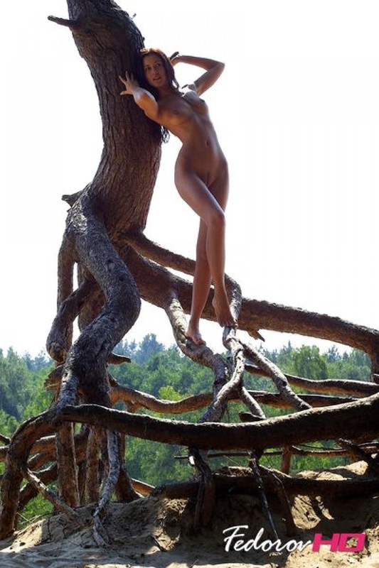 Лесная нимфа отдыхает голой на дереве 14 фотография Лесная нимфа отдыхает голой на дереве 14 фотография
