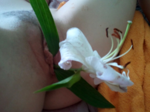 Хрупкая блондинка вставила цветок между половыми губами 3 фотография Хрупкая блондинка вставила цветок между половыми губами 3 фотография