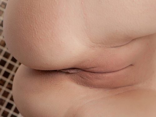 Подборка жопастых баб с обнажёнными кисками 10 фотография