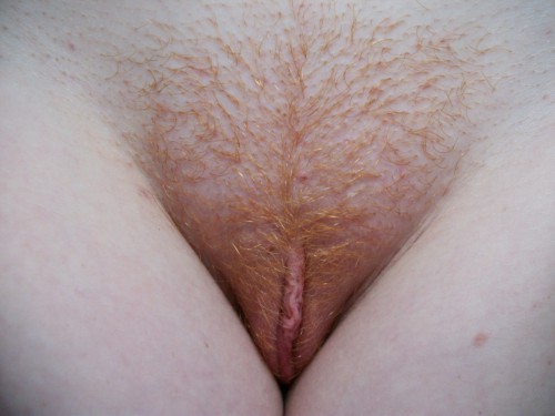 Подборка с рыжими телками, которые светят волосатыми пилотками 1 фотография Подборка с рыжими телками, которые светят волосатыми пилотками 1 фотография